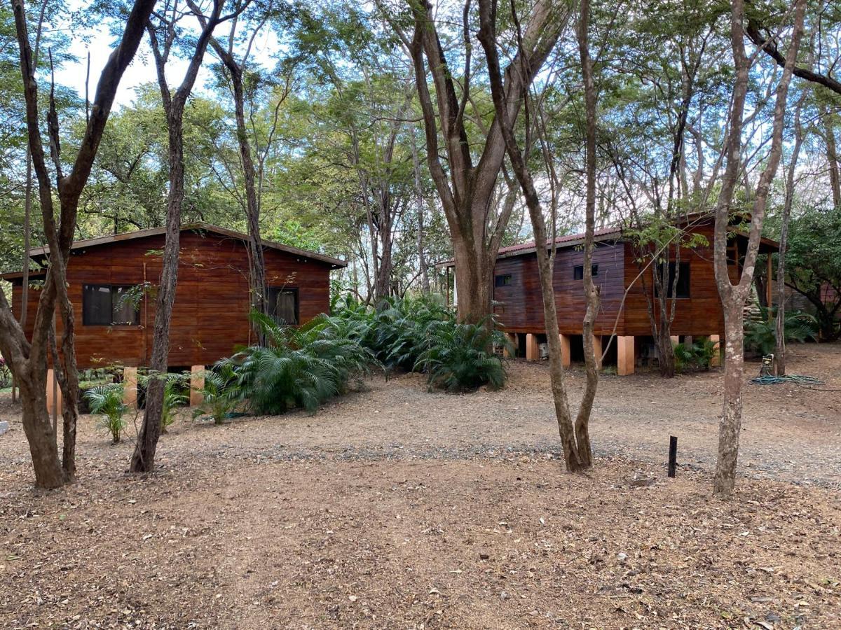 Casa Natural 브라질리토 외부 사진