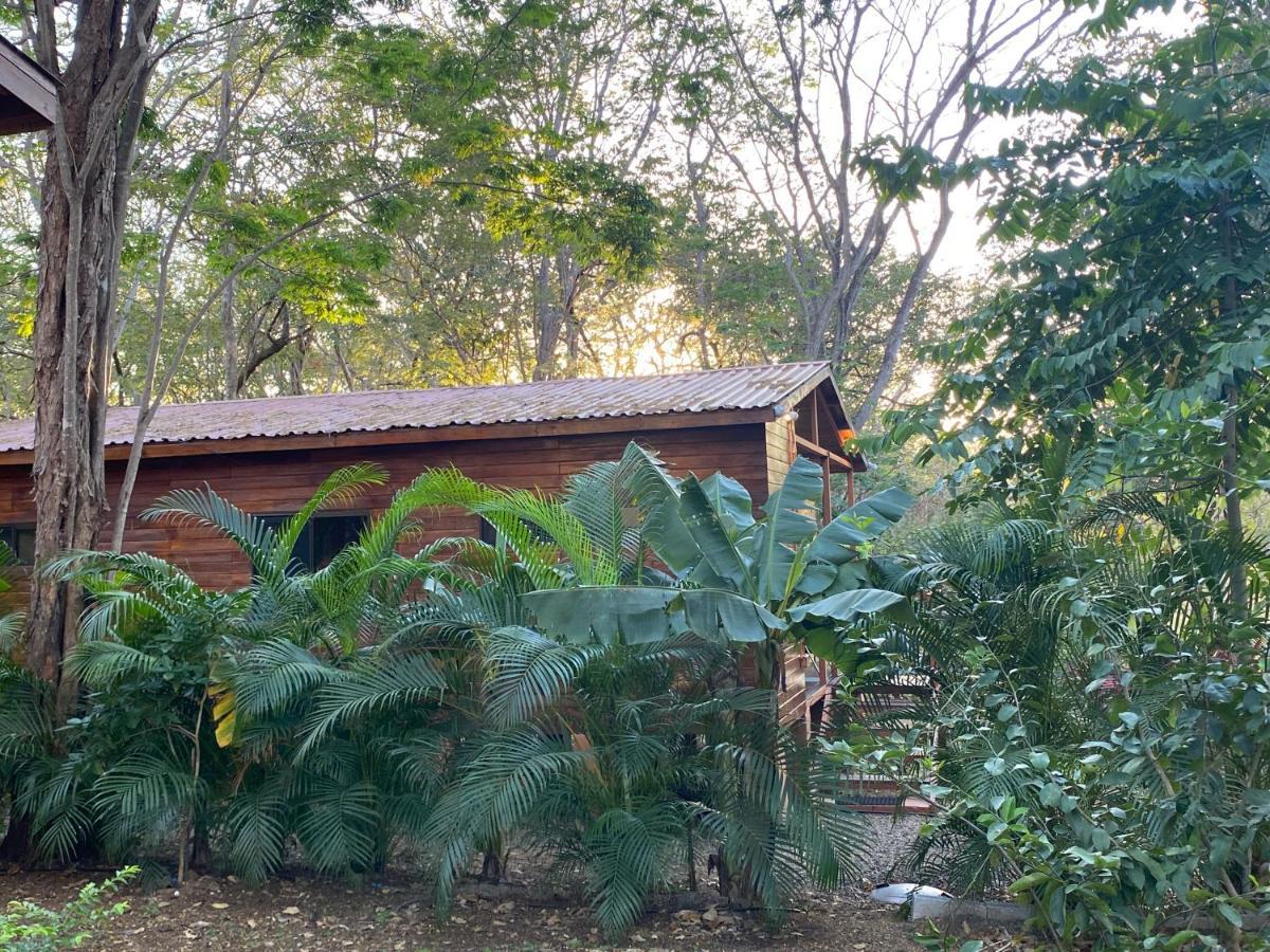 Casa Natural 브라질리토 외부 사진