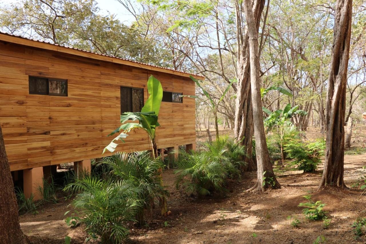 Casa Natural 브라질리토 외부 사진